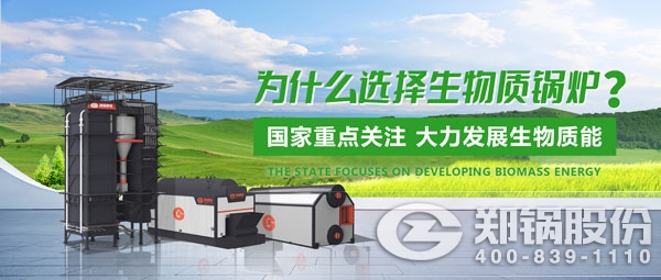 豪门国际生物质锅炉.jpg