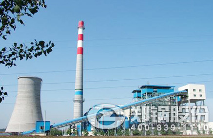 稻壳秸杆生物质发电锅炉 - 豪门国际