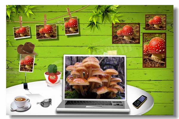 为什么爆发工业锅炉的外貌侵蚀