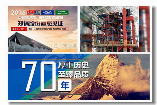 煤或生物质颗粒燃料锅炉价钱