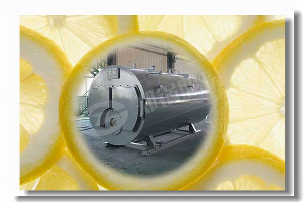 10t h固体燃料蒸汽锅炉的事情原理